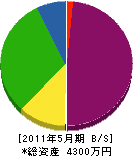 入門硝子 貸借対照表 2011年5月期