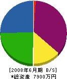 広田建材 貸借対照表 2008年6月期