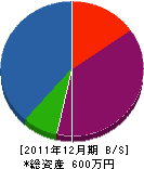新鯰田緑化 貸借対照表 2011年12月期