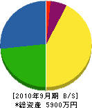 山本電気工業 貸借対照表 2010年9月期