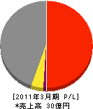 テクノジャパン 損益計算書 2011年3月期