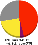藤田工業 損益計算書 2008年6月期
