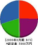 大松園 貸借対照表 2008年8月期