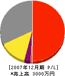 青山工業 損益計算書 2007年12月期
