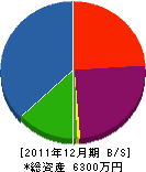 松浦工務店 貸借対照表 2011年12月期