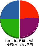 辻野電機 貸借対照表 2012年3月期