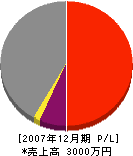 伊藤工業 損益計算書 2007年12月期