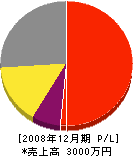 松野建工 損益計算書 2008年12月期