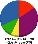 上垣工務店 貸借対照表 2011年12月期