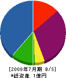 大島電機 貸借対照表 2008年7月期