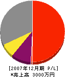 阪上造園 損益計算書 2007年12月期