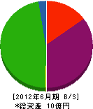 沖縄道路メンテナンス 貸借対照表 2012年6月期