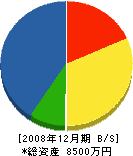 川上工務店 貸借対照表 2008年12月期