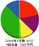 坂本建設 貸借対照表 2009年3月期