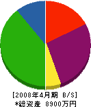 篠原商会 貸借対照表 2008年4月期