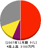 ヤマナミ電機 損益計算書 2007年12月期