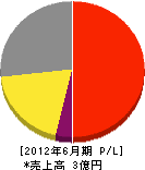 飯塚環境サービス 損益計算書 2012年6月期
