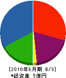 エイリツ電子産業 貸借対照表 2010年6月期 エイリツ電子産業 貸借対照表 2010年6月期