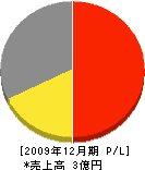 エッシー 損益計算書 2009年12月期