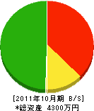 鶴田工務店 貸借対照表 2011年10月期