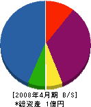 赤花工業 貸借対照表 2008年4月期