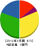 岩崎興業 貸借対照表 2012年3月期