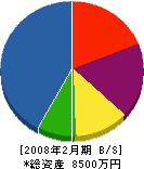 中江電業 貸借対照表 2008年2月期