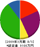 丸雄リョウセ 貸借対照表 2009年3月期