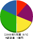 小野田石材 貸借対照表 2008年5月期