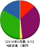 藤栄建設 貸借対照表 2010年6月期