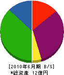 松井産業 貸借対照表 2010年6月期