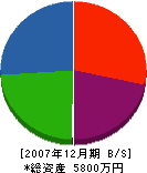 川上組 貸借対照表 2007年12月期