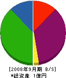 中栄商事 貸借対照表 2008年9月期