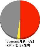 田中組 損益計算書 2009年5月期