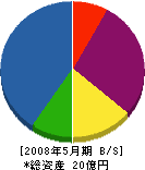 相羽建設 貸借対照表 2008年5月期