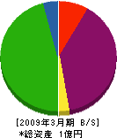 藤井木工 貸借対照表 2009年3月期