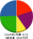 東山電建 貸借対照表 2009年3月期 東山電建 貸借対照表 2009年3月期