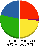 東川住宅 貸借対照表 2011年12月期