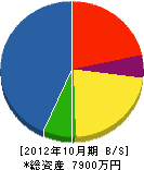 木村組 貸借対照表 2012年10月期
