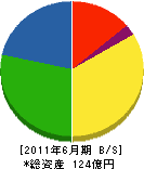 松阪興産 貸借対照表 2011年6月期