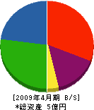 長谷川工務店 貸借対照表 2009年4月期