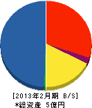 ワタイチ 貸借対照表 2013年2月期