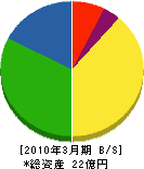 昭和化学工業 貸借対照表 2010年3月期