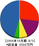 中村建設 貸借対照表 2008年10月期