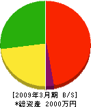 華富士 貸借対照表 2009年3月期