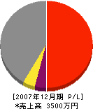 武藤建材興業 損益計算書 2007年12月期