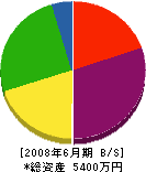 島松商店 貸借対照表 2008年6月期