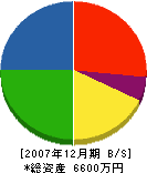 佐藤鉄工所 貸借対照表 2007年12月期