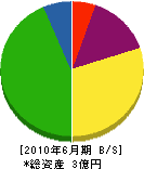 竹原建材 貸借対照表 2010年6月期