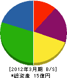 田熊工業 貸借対照表 2012年3月期